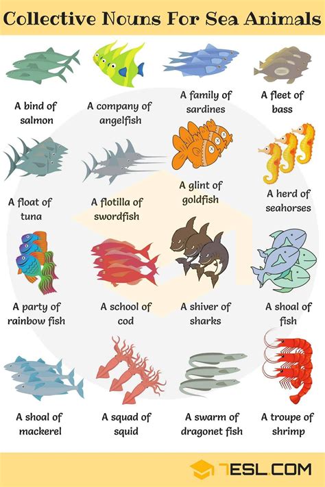 Which are your favourite collective nouns for animals? 'Collective Nouns for Sea Animals': https://7esl.com ...
