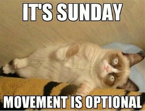 List Of Funny Lazy Sunday Quotes For You