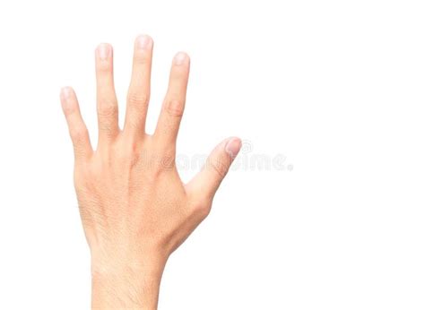 Man Showing Back Hand And Five Finger Count On White Background Stock