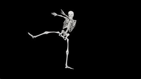 Skeletal System Footage Videos And Clips In Hd And 4k