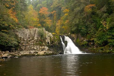 Top Things To Keep Your Eyes Out For Along The Cades Cove Loop