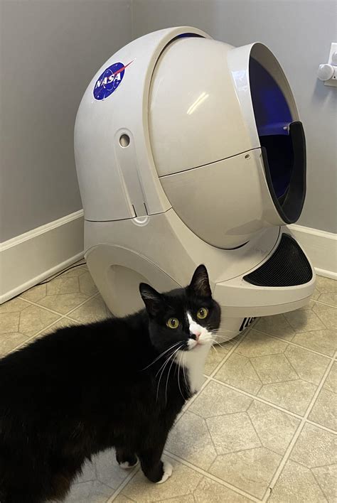 Litter Robot 4 Motor for LR3 Upgrade : r/litterrobot