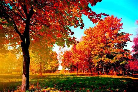 69 Fall Desktop Backgrounds ·① Download Free Amazing Backgrounds For