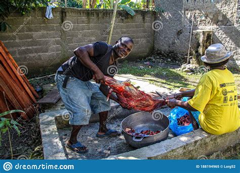 Carne Fresca Es Masacrada En Una Comunidad Haitiana Rural Imagen Editorial Imagen De Matado