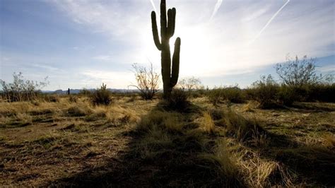 State Owned Land Primed For Development In Pinal County