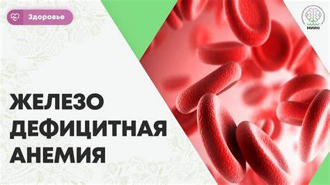 ЗДОРОВЬЕ | Железо Дефицитная анемия. Диагностика ЖДА и ОАК, ферритин Картинка - ЗДОРОВЬЕ | Железо Дефицитная анемия. Диагностика ЖДА и ОАК, ферритин