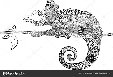 Black White Zentangle Animal Chameleon Stock Illustration By ©nefertyma