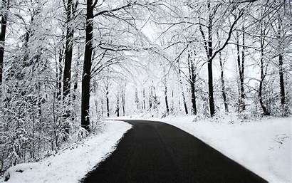 Snow Winter Forest Nature Road Desktop Backgrounds