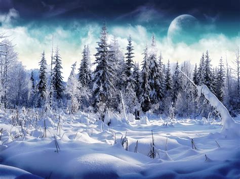 Wallpapers Snow Desktop Wallpapers And Backgrounds