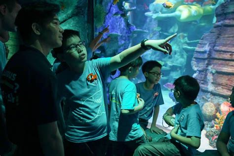 Sea Life Malaysia An Up Close Ocean Experience Through Magical