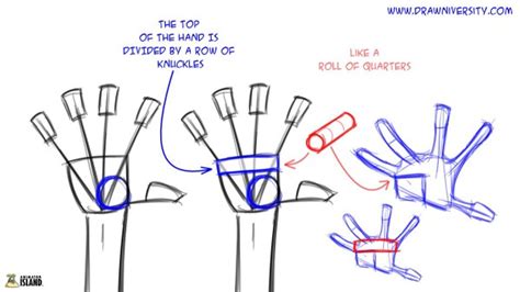 Tips For Drawing Hands Animator Island