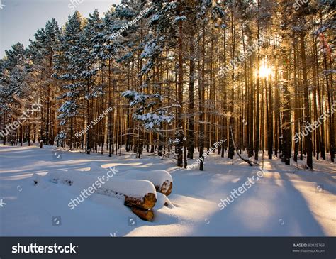 Beautiful Winter Landscape At Sunset With Fog And Snow