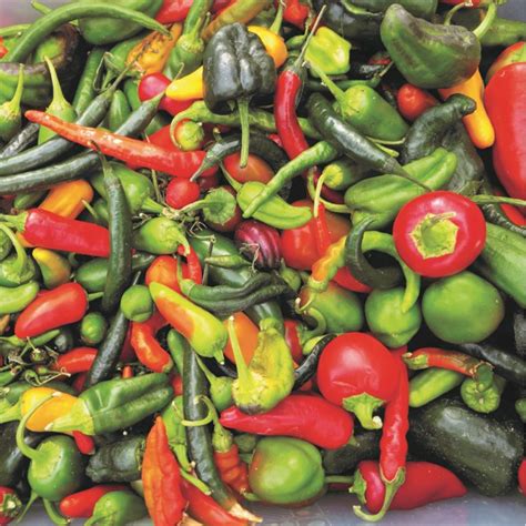 Landin Smith on LinkedIn: Highlands Ranch Farmers' Market