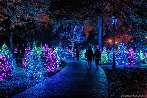 Complete package with garden24 containing 3 pieces, 3w party loops: A Guide To St. Louis During The Holidays