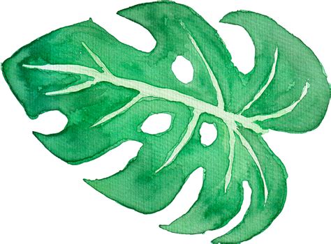 Tropical Clipart Tropical Leave - Tropical Leaves Watercolor Png Transparent Png - Full Size ...