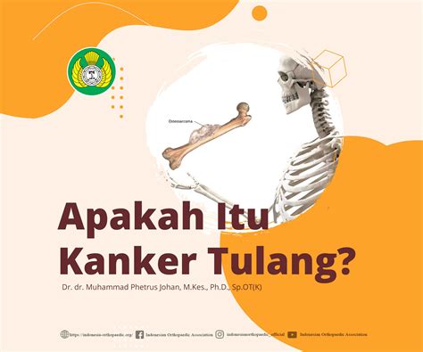 Gambaran Pake Mikroskop Kanker Mammae Normal Dan Abnormal
