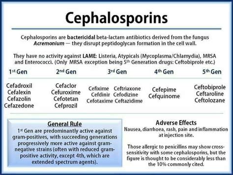 Always Had Difficulty Memorising Cephalosporins Top Nursing Schools