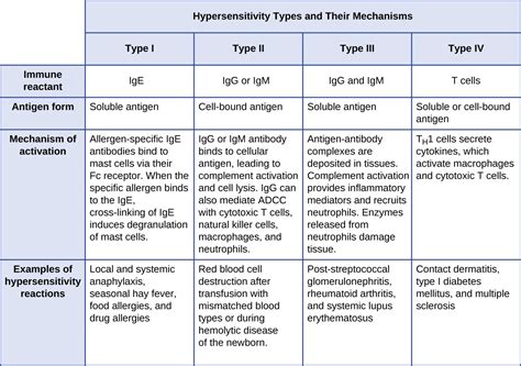 Read on to learn more about the different types of allergic reactions. Hypersensitivities | Microbiology