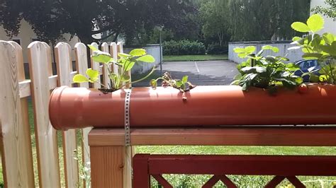 Kaum riss der märz das schneegewand. Der Garten im Juni - YouTube