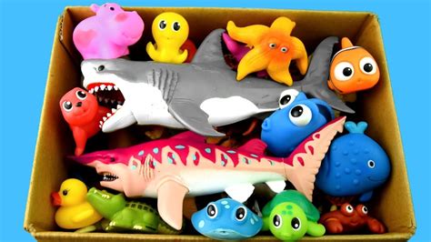 Learn Sea Animal Names And Zoo Animals Names Education Video Toys For