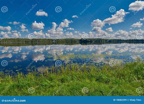 Lake Mirroring Blue Skies With Clouds Stock Image Image Of Mirroring