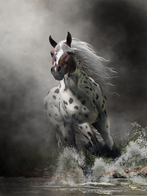 Appaloosa By Daniel Eskridge Appaloosa Horses Horses Beautiful Horses