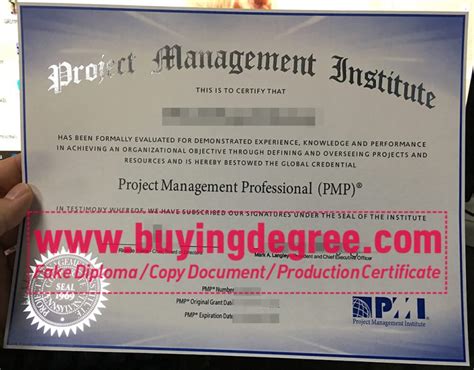 Can I Get A Project Management Professional Certificate From Pmi