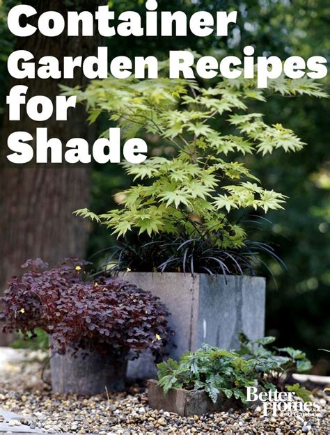 101 Best Images About Shade Plants On Pinterest Gardens