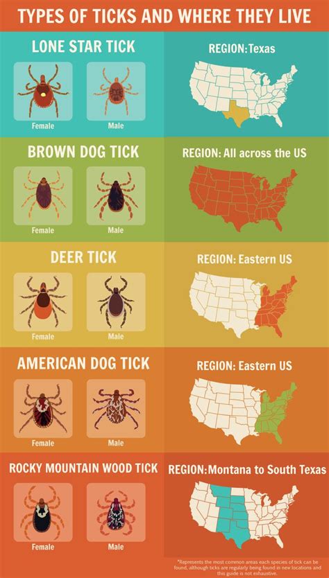 Tick Dangers And Precautions Learn To Identify And Prevent Tick Bites