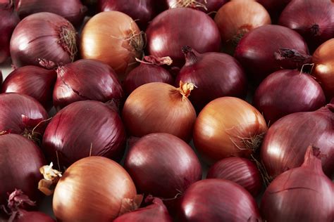 Exporters - Onions New Zealand