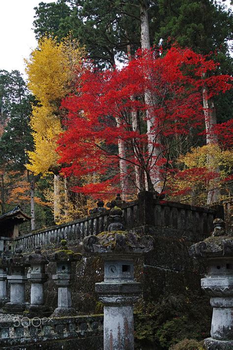 Autumn In Nikko Null Nikko Autumn Japan