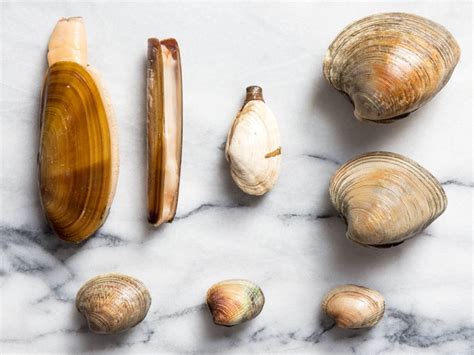 A Guide To Clam Types And What To Do With Them In 2020 Clam Recipes