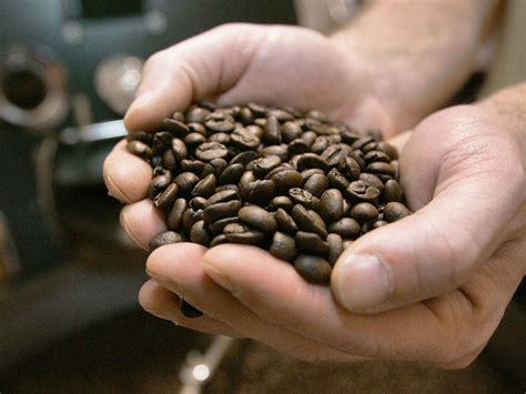 As expected, the investigators saw that chronic excessive drinking of alcohol was associated with an increased risk for liver cancer; Drinking more coffee may undo liver damage from alcohol | Specialty Colombian Coffee News