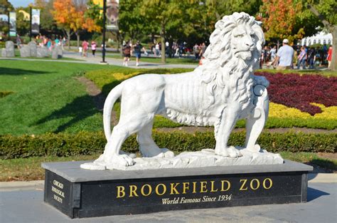 Chicago Zoological Society Brookfield Zoo World Famous Flickr