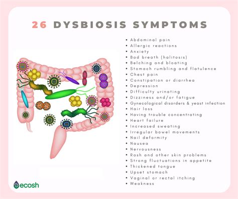 The Surprising Signs Of Gut Dysbiosis