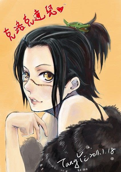 At myanimelist, you can find out about their voice actors, animeography, pictures and much more! Sir Crocodile genderbent | Anime, One piece pictures, One ...