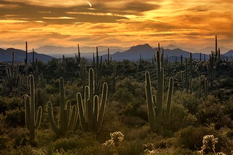 Brilliant Arizona Skies - Images Arizona magazine