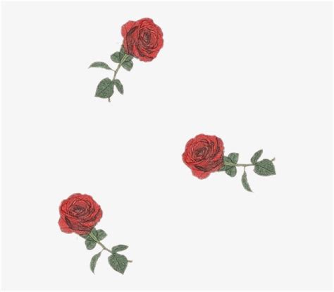Special effects, city lights, artwork, electricity, psychedelic art. Roses Rosa Flor Flower Drawingflowers Tumblr Aesthetic ...