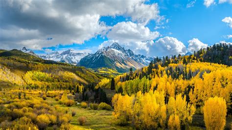 1366x768 Yellow Forest Landscape 4k Mountains 1366x768 Resolution