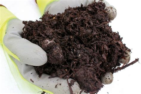 Mushroom Compost Bulk Mushroom Mulch Premium Topsoil Supplies