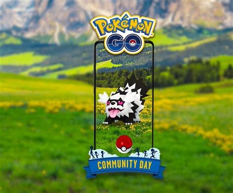 Pokémon Go August Community Day Features Galarian Zigzagoo And Lots Of