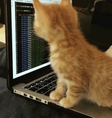 See also 🐱 cat face. Data Science and R: how do I start? - Jesse Maegan - Medium