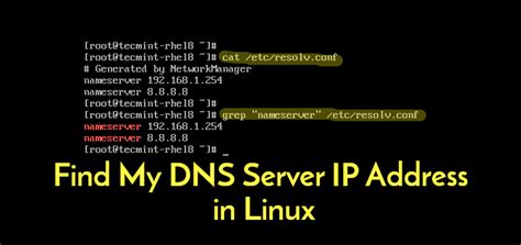 How To Find Dns Servers On A Linux Machine Systran Box