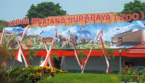 Di dalamnya banyak binatang binatang lucu, ada. Keindahan Tempat Wisata di Surabaya | Trending Zone