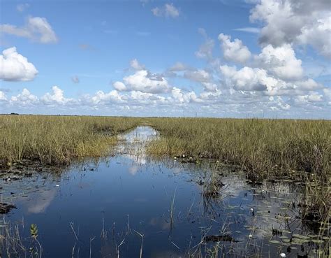 Everglades Swamp Tours Fort Lauderdale All You Need To Know Before