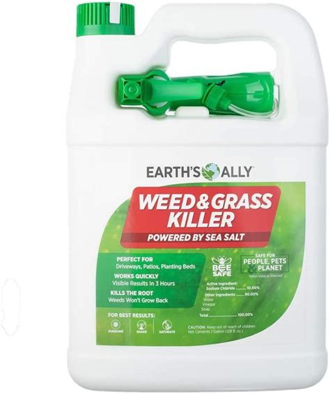 10 Best Pet Safe Weed Killers Of 2021 Pet Friendly Modo Per Uccidere Le