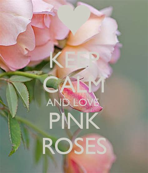 Keep Calm And Love Pink Roses Keep Calm And Love Keep Calm Keep