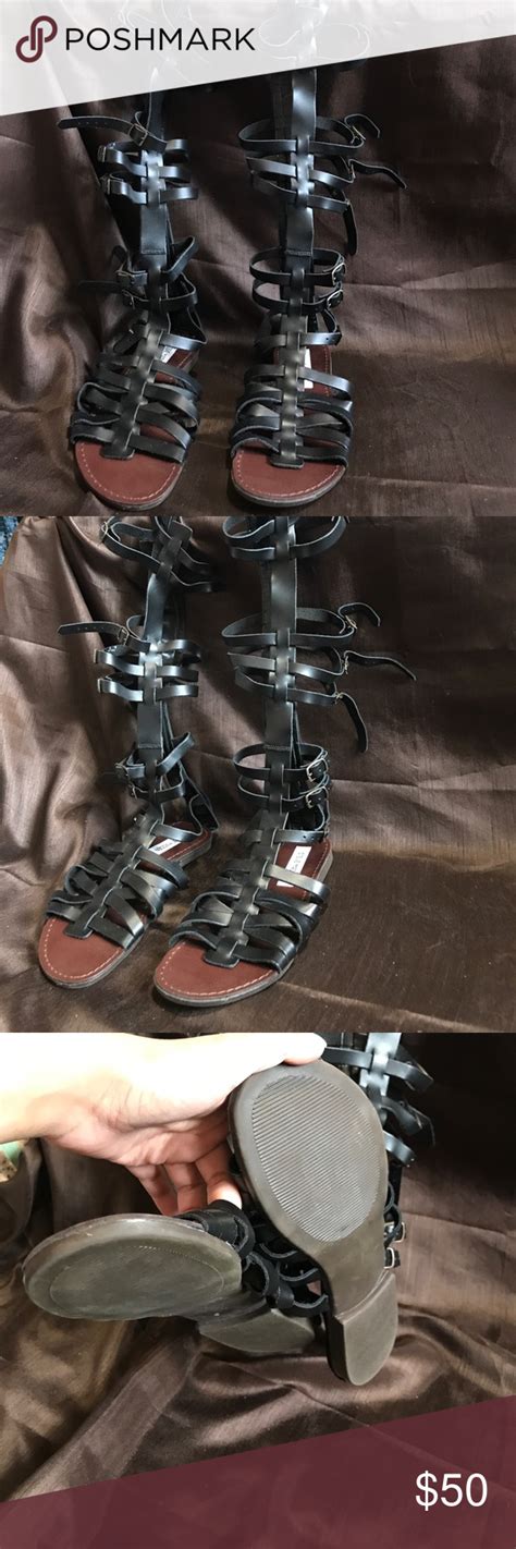 steve madden gladiator sandals steve madden gladiator sandals gladiator sandals gladiator