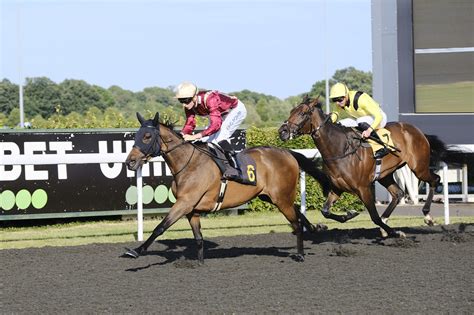 Sea Me Dance Sees Off The Field At Kempton Hot To Trot Racing