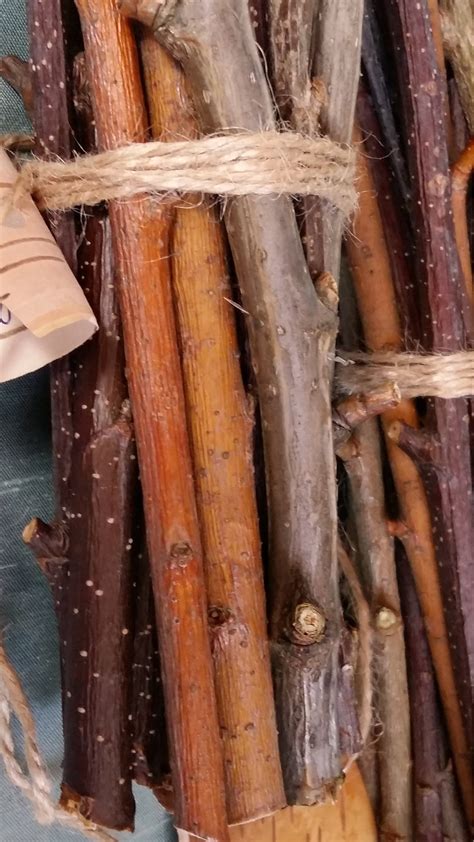 Craft Sticks Natural Northern Tree Wood Sticks Set Rustic Etsy